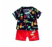 Highdi Baby Boys Kids Toddler Hawaiian Shirt and Shorts Sets 2pcs, Casual Summer Button Cotton Short Sleeve Top + Shorts Outfits for 1-6Years Birthday Beach Holiday Party (Pineapple red,130cm)