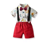 Highdi Baby Boys Kids Toddler Hawaiian Shirt and Shorts Sets 2pcs,Casual Summer Button Handsome Printing Cotton Top + Shorts Outfits for 1-6 Years Birthday Beach Holiday Party (Cartoon Bird,100)