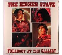 HIGHER STATE - freakout at the gallery