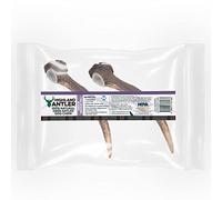 Highland Antler Medium Chews For Dogs Pack of 2 Horns Organic Chew Dog Toy