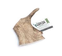 Nova Fallow Antler Natural Dog Treat - Large - Single