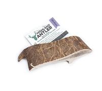 Highland Antler - Natural Fallow Antler Dog Chew. Pack of 1x Medium (75g - 150g) Naturally Shed Fallow Deer Antler, Long Lasting Dog Chew Bone With Calcium And Minerals (Shape may vary)