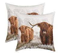 Highland Cattle 3D Printed Pillow Cover Wildlife Safari Animals Cows Square Throw Pillow Cover for Bedroom Decor Natural Accent Decorative Cushion Cover for Kids Men Women, 2 Pack 16"x16"