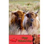 Highland Cow Animal Valentines Day Card