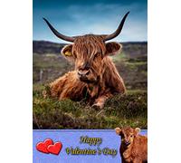 Highland Cow Animal Valentines Day Card