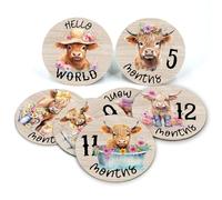 Highland Cow Baby Month Milestone Circles, Wooden Discs Stuff for Baby Photo Takens with Hello World Name Signs - 7Pcs Double Sided Signs for Documenting Growth
