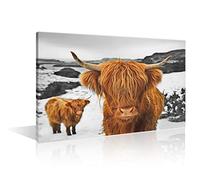 Highland Cow Bedroom Wall Art 1 Panels Fluffy Scottish Highland Cattle Picture Winter Landscape Modern Home Decor Canvas Paintings Print on Canvas Stretched and Framed Ready to Hang (24" Wx36 H)