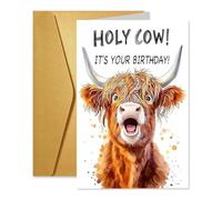 Highland Cow Birthday Card, Holy Cow It's Your Birthday Birthday Card with Gold Envelope, Cute Highland Cow Birthday Cards for Women Men, Just a Girl Who Loves Highland