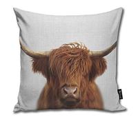 Highland cow colorful Home Decorative Throw Pillow Case Cushion Cover for Gift Home Couch Bed Car 18" x18"