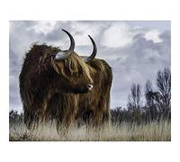 Highland Cow Coo Scottish Canvas Wall Art Print