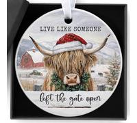 Highland Cow Gifts, Highland Cow Christmas Ornaments for Tree Decorations | Highland Cow Ceramic Christmas Ornaments Gifts for Animal Cows Lovers, Hanging Decorations for Christmas Tree Home Car