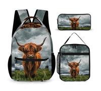 Highland Cow in The Scottish Highlands 3PCS Backpack Lightweight Travel Bag with Lunch Box Pencil Case 3 in 1 Set