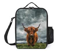 Highland Cow in The Scottish Highlands Lunch Bag Portable Lunch Box Cooler Bags Container Tote Bag for Women Men