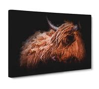 Highland Cow In The Shadows Canvas Print | Gallery Wrapped 30mm Frame Wall Art | 20x14 inches | Ready to Hang | Modern Animals Picture | Living Room Bedroom Lounge Office
