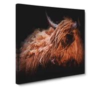 Highland Cow in the Shadows Canvas Print | Gallery Wrapped 30mm Frame Wall Art | 20x20 inches | Ready to Hang | Modern Animals Picture | Living Room Bedroom Lounge Office