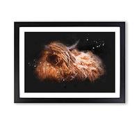 Highland Cow in The Shadows Paint Splash Framed Print | A2 Black Framed Wall Art | Ready to Hang | Modern Animal Picture | Living Room Bedroom Lounge Office