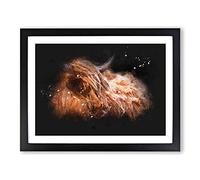 Highland Cow In The Shadows Paint Splash Modern Art Framed Print | A2 Black Framed Wall Art | Ready to Hang | Modern Animal Picture | Living Room Bedroom Lounge Office