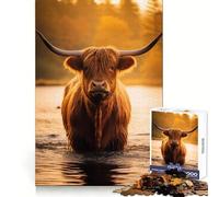 Highland Cow in The Water 1000 Adult Pieces Jigsaw Puzzle Cognitive Skill Snug Connection Fun Challenge Santa Gift (38x52cm)