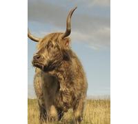 Highland Cow Journal