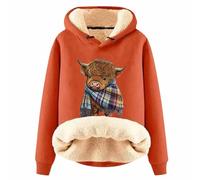 Highland Cow Jumper Highland Cow Gifts Highland Cow Just A Little Moody Cute Farm Animal Farmer Pullover Hoodie We Love Highland Cows Hoodies Cow Print Shirt Country Western Sweatshirt UK