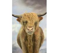 Highland Cow Notebook - hardback with artwork by Sally Sturgess: 160 lined pages and glossy, hard cover