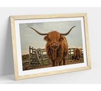 Highland Cow Rustic Farm Photo - Animal Pic Framed Wall Art Print Picture - A3 - Light Oak Frame