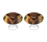 Highland Cow Scottish 2 Pcs Drawer Knobs Cabinet Pulls 2.8 CM Round Dresser Handle for Kitchen