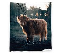 Highland Cow Throw Blanket Flannel Fleece Fuzzy Blankets Soft Warm Cozy for Bed Couch Sofa Living Room for Kids 50"x40"
