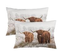 Highland Cow Throw Pillow Cover Queen Size Set of 2 Western Cow Animal Wildlife Farm House Grassland Lumbar Pillow Case Decorative Standard Pillow Cases with Zipper Cushion Covers for Bed,Sofa,20"x30"