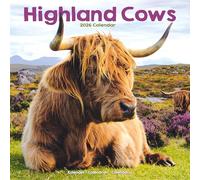 Highland Cows 2026 Calendar | Square Wall Calendar | Farm Animal Gift | Plastic Free Packaging | by Avonside Publishing