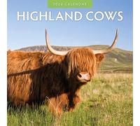 Highland Cows - 2026 Square Wall Calendar - by Red Robin Publishing
