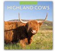 Highland Cows 2026 Square Wall Calendar: Original Red Robin Publishing Ltd-Kalender [Mehrsprachig] [Kalender]