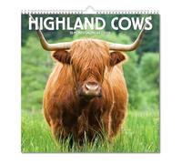 Highland Cows 2026 Wall Calendar, 2026 12 Month Highland Cow Calendar, Rustic Farmhouse Wall Art & Monthly Planner Cows Calendar for Animal Lovers