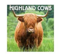 Highland Cows 2026 Wall Calendar, Cute Highland Cow Calendar 2026, Watercolour Cows Monthly Planner Scottish Wall Art Décor