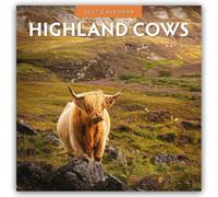 Highland Cows 2027 Square Wall Calendar: Original Red Robin Publishing Ltd-Kalender [Mehrsprachig] [Kalender]