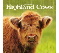 Highland Cows Mini Calendar 2027, Wall Calendars, Month To View, Gift