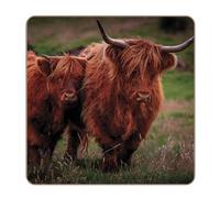 Highland Cows Set of 4 Coasters