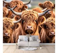Highland Cows Wallpaper 300x256cm, Animal 3D Effect Photo Wallpaper,Mural Panoramic Non-Woven,for Living Room Bedroom Decoration, Easy to Install