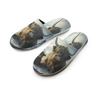 Highland Cows Winter Flannel Men's Slip-on Slippers Soft Warm House Shoes Cotton-Lining Rubber Sole for Home Hotel 47-48_（13-14）