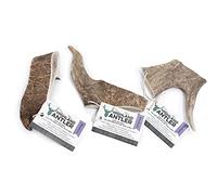 Highland Fallow Deer Antlers For Dogs Medium Pack of 3 Fallow Antler Chew