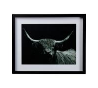 Highland Spirit Bull Black Framed Print (H)43Cm X (W)53Cm