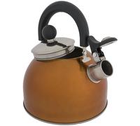 Highlander 2L Deluxe Whistling Kettle: Orange Colour: Orange