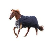 Highlander Plus 200G Horse Combo Turnout Rug Black (5 3")