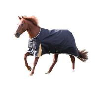 Highlander Plus 200G Standard Neck Horse Turnout Rug Black (6 3")