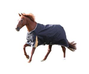 Highlander Plus 200g Standard Neck Horse Turnout Rug ER1749