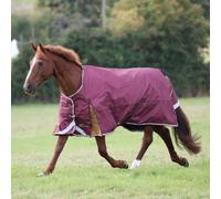 Highlander Plus Standard-Neck 100G Horse Turnout Rug Maroon (5 9")