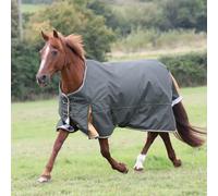 Highlander Plus Standard-Neck 50g Horse Turnout Rug ER1627