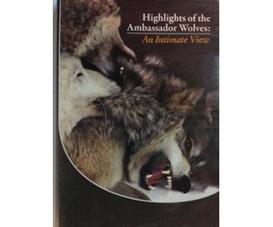 Highlights of the Ambassador Wolves: An Intimate View