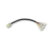 HIGHSIDER Taillight/indicator adapter cable TRIUMPH 1200 Thruxton, 16-