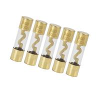 Hihaha Fuse 100A Gold Tone Plated AGU Fuses for Car Plastic Tube / 5 Pcs